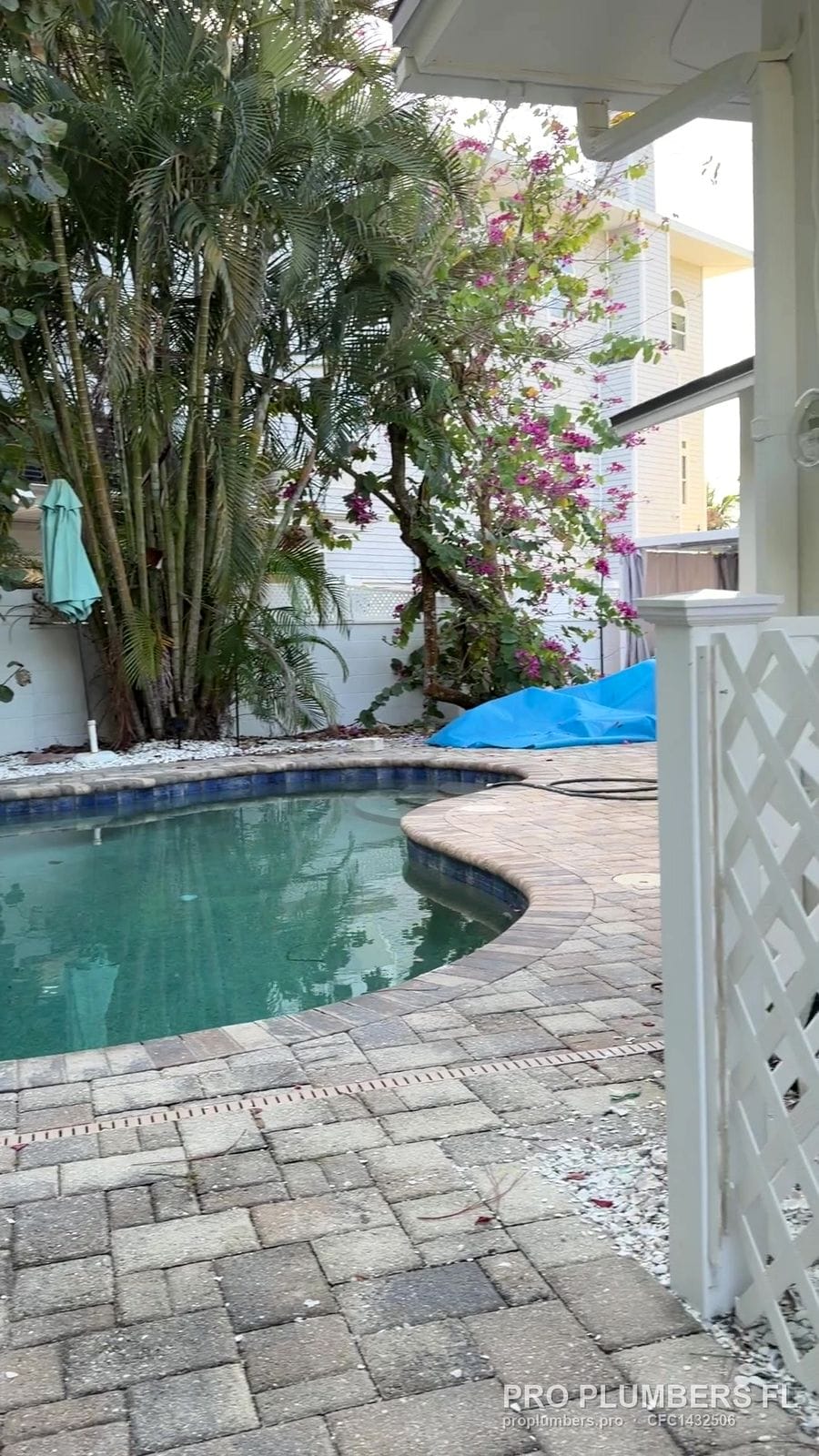 Backyard pool beside the new pool heater location in Palm Harbor, Florida by PRO PLUMBERS FL, LLC (licence CFC1432506)