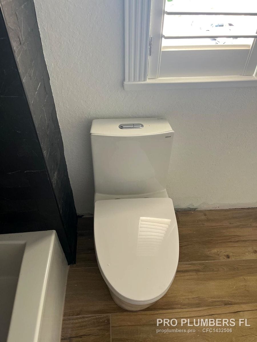 One-piece dual-flush toilet beside a window on wood-look tile in Clearwater, Florida by PRO PLUMBERS FL, LLC (licence CFC1432506)