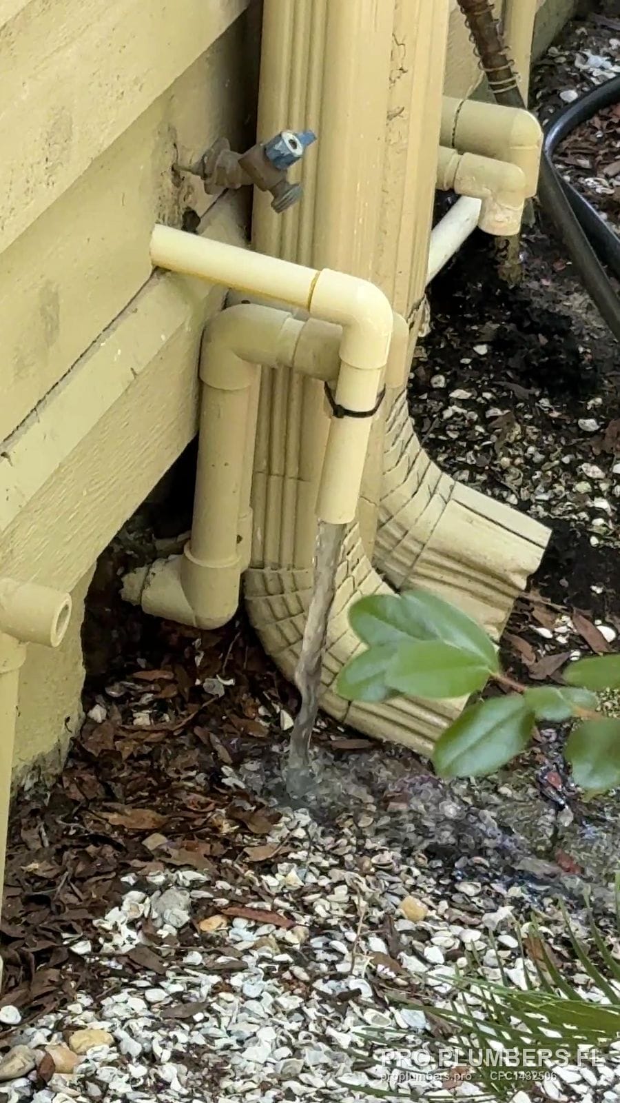 PVC softener drain line discharging outside at a stucco wall in Belleair, Florida by PRO PLUMBERS FL, LLC (licence CFC1432506)