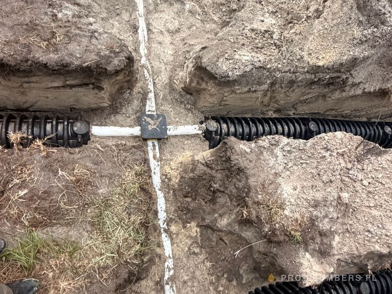 Septic distribution box with radiating drainfield lines — Tampa Bay area