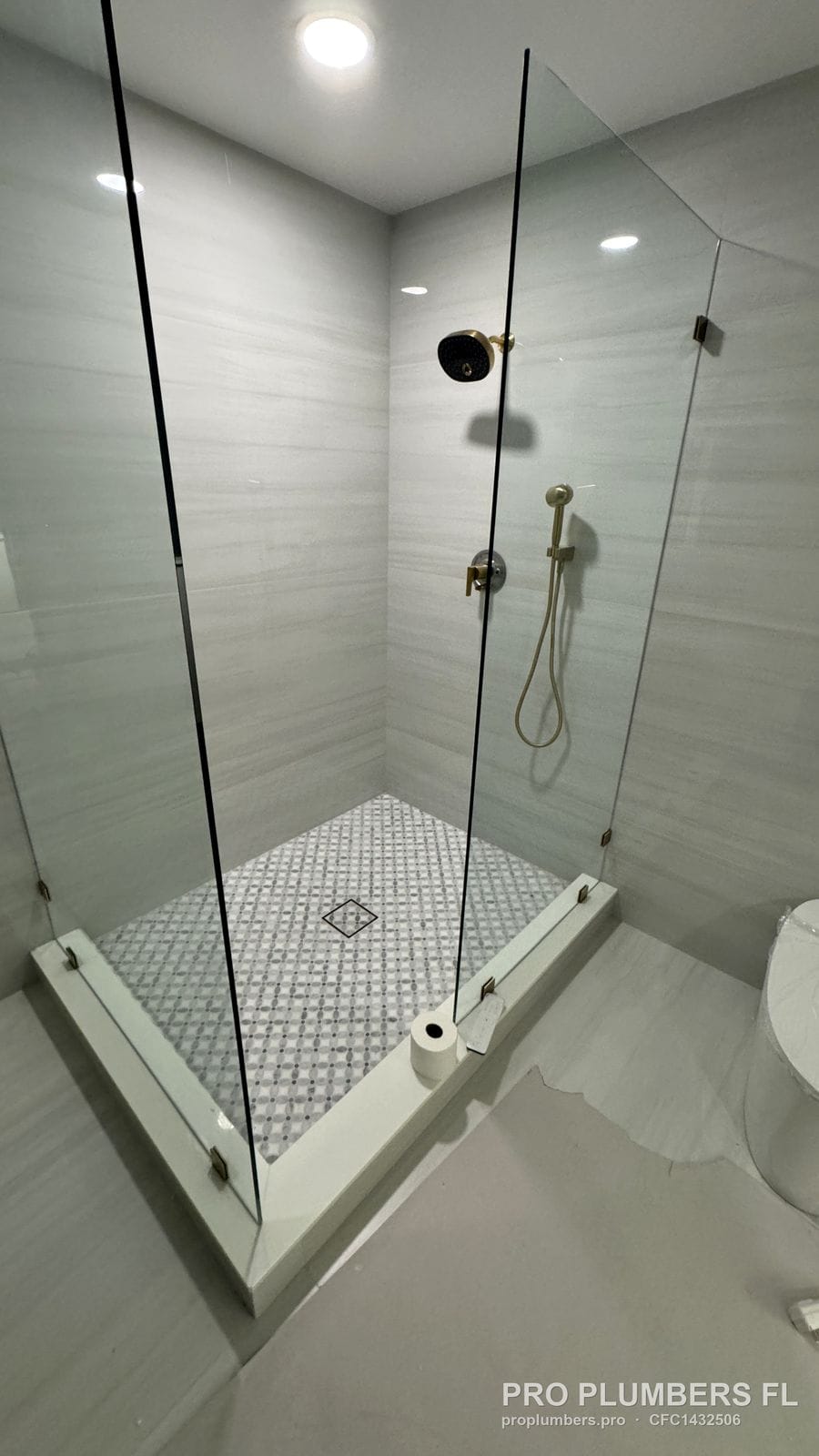 Walk-in glass shower with brushed gold handheld and rain shower head in Largo, Florida by PRO PLUMBERS FL, LLC (licence CFC1432506)