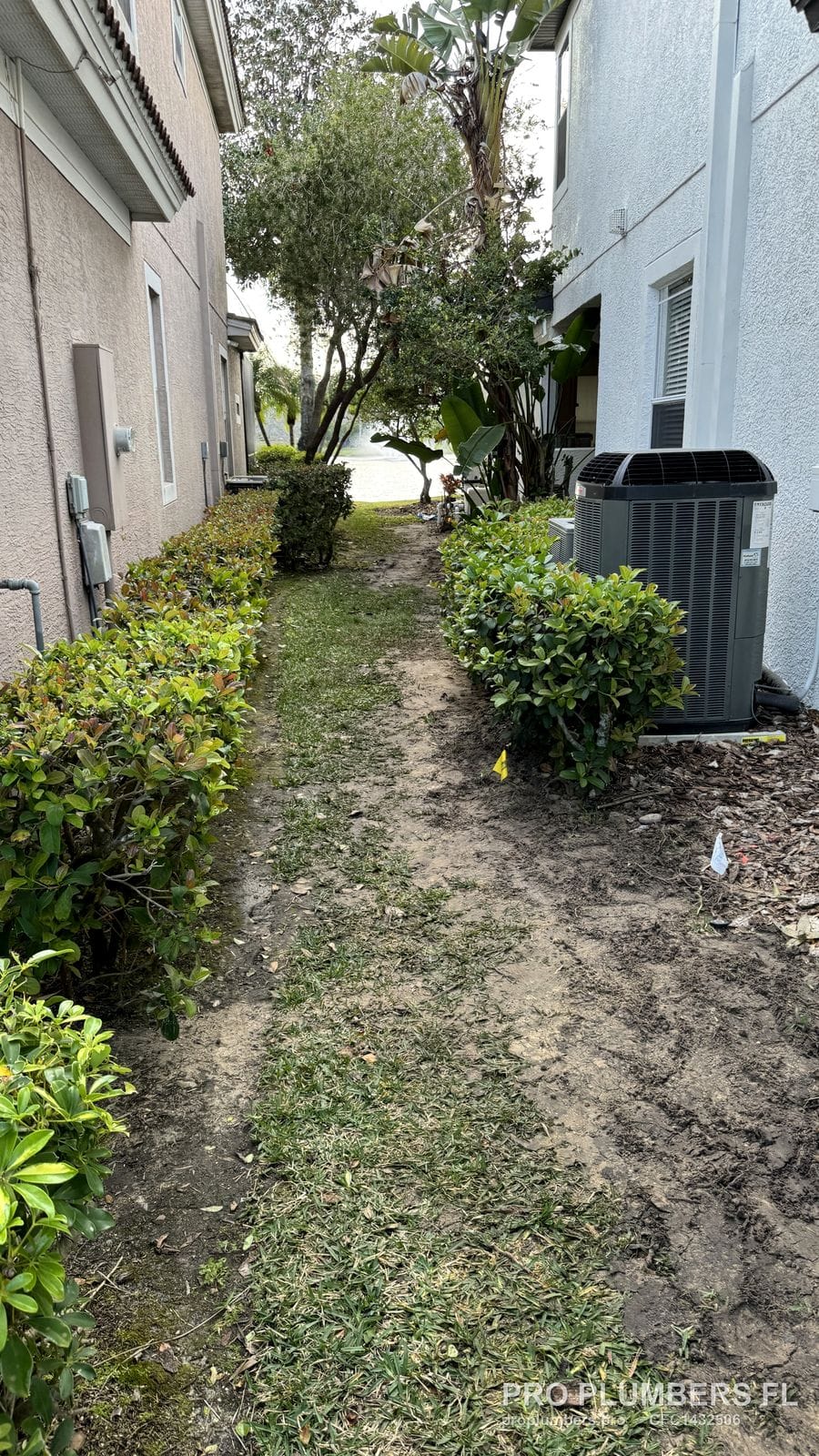 Side yard restored after a buried gas line run in Westchase, Florida by PRO PLUMBERS FL, LLC (licence CFC1432506)