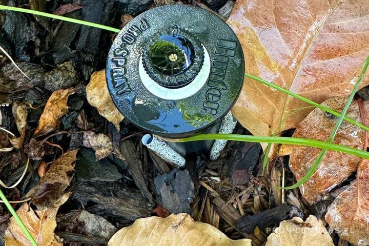 Sprinkler head replacement — Clearwater, FL