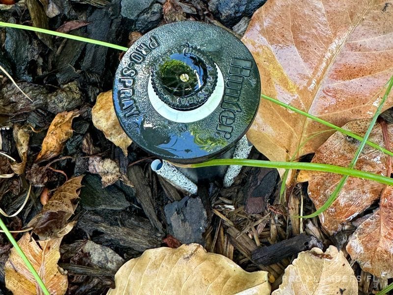 Sprinkler head replacement — Clearwater, FL